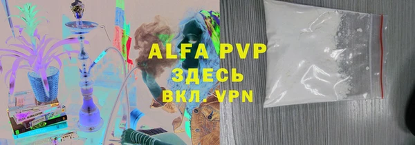 стаф Козловка