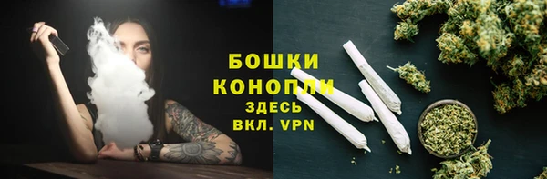 твердый Козельск