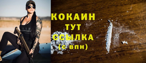 стаф Козловка