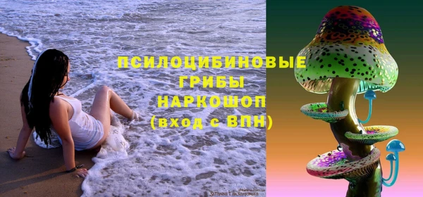 твердый Козельск