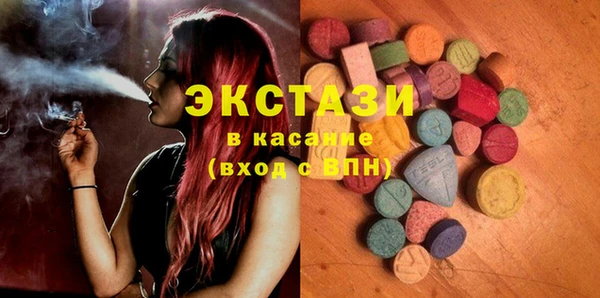 стаф Козловка