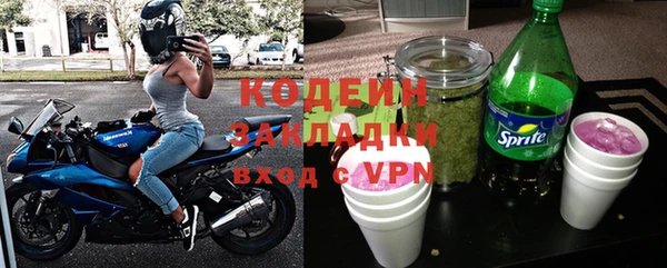 твердый Козельск