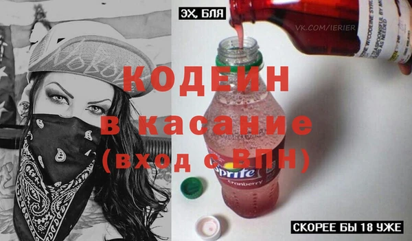 твердый Козельск